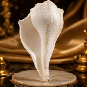 Dakshina Mukhi Shankh
