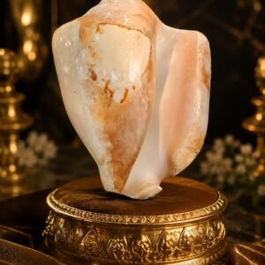 Bhagirathi Shankh